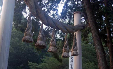 shime torii