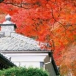 cropped-cropped-Kyoto.jpg