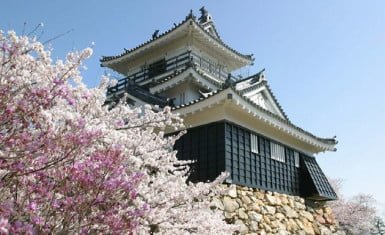 Castillo de Hamamatsu
