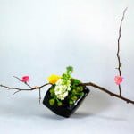 ikebana 4