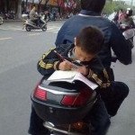 Los japoneses son inteligentes