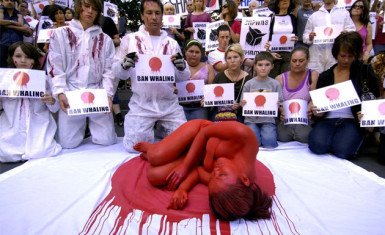 Protesta en Japón 2