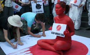 protesta contra la cacería de ballenas en Japón