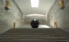 Tadao Ando