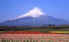 Monte Fuji 3
