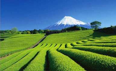 El Monte Fuji es declarado patrimonio de la humanidad por la UNESCO