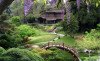 shizen