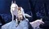 La princesa mononoke