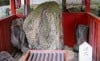 Ogata Jinja