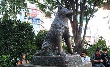 escultura de Hachiko