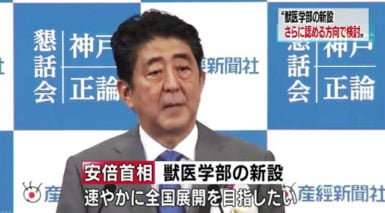 Shinzo Abe en el escándalo de la escuela veterinaria
