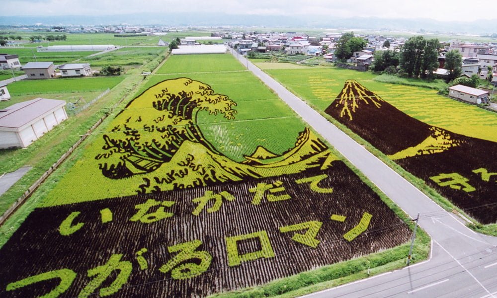 arte en campos de arroz